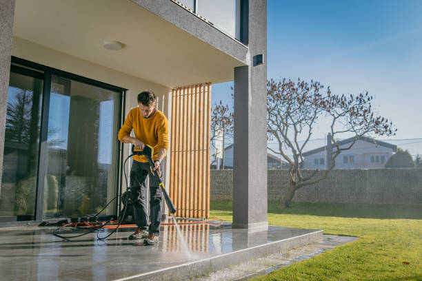 Best Roof Washing  in Lake Goodwin, WA